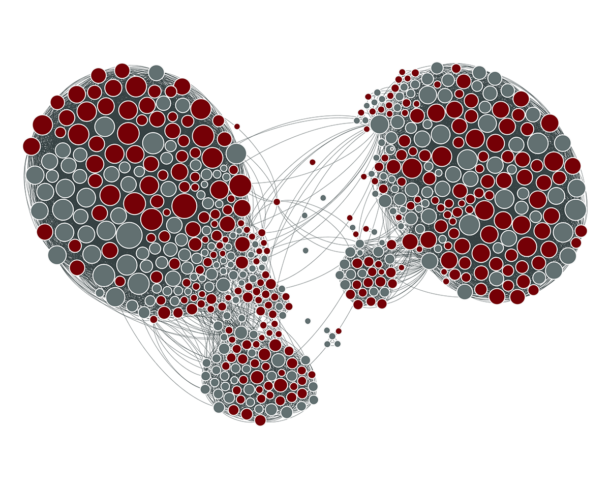 Facebook Network: Gephi
