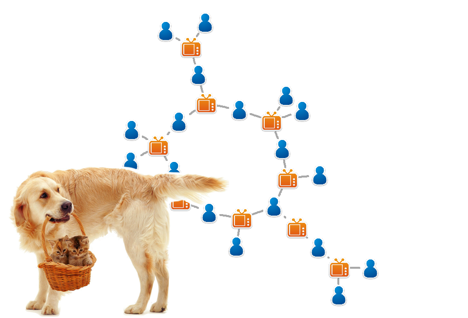 Networks and puppies